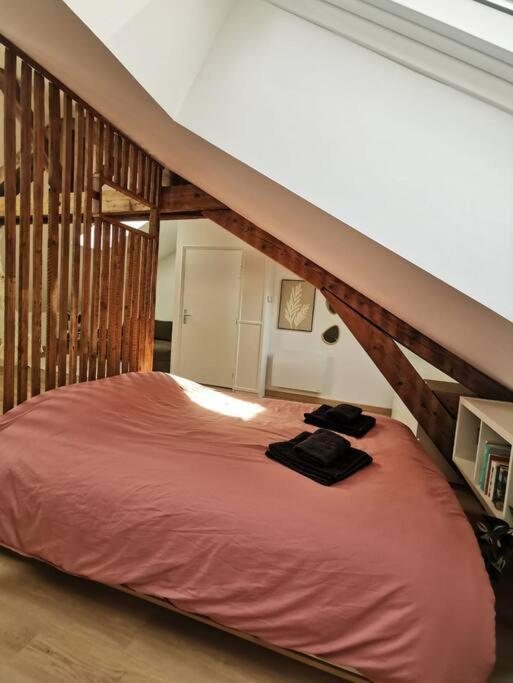 Appartement De Charme A Nancy Bagian luar foto
